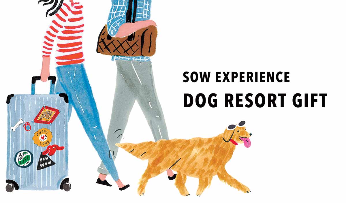 愛犬家へのプレゼントにおすすめ ペットと宿泊できる旅行券 体験ギフト ソウ エクスペリエンス 愛犬家へのプレゼントにおすすめ ペットと宿泊できる旅行券 体験ギフト ソウ エクスペリエンス