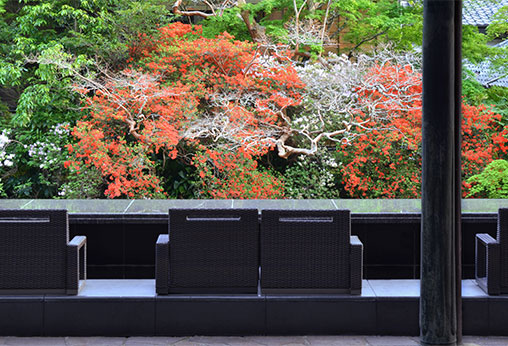 自由気ままに過ごす、日帰り旅のプレゼント