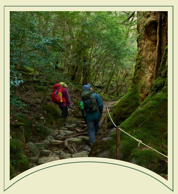 九州エリアのおすすめ体験ギフト｜ソウ・エクスペリエンス